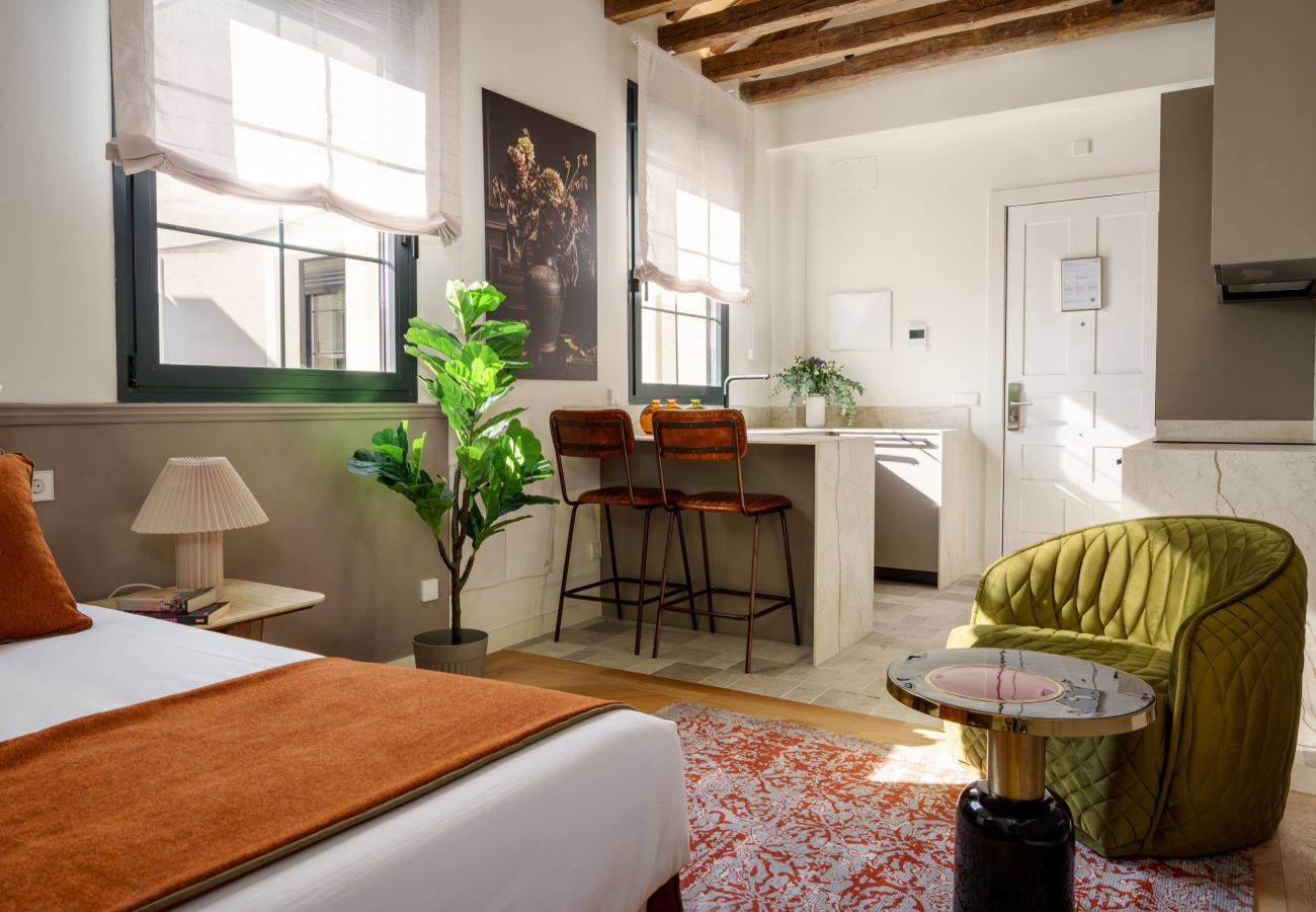 Studio in Madrid - Travesia Madrid VIII apartment