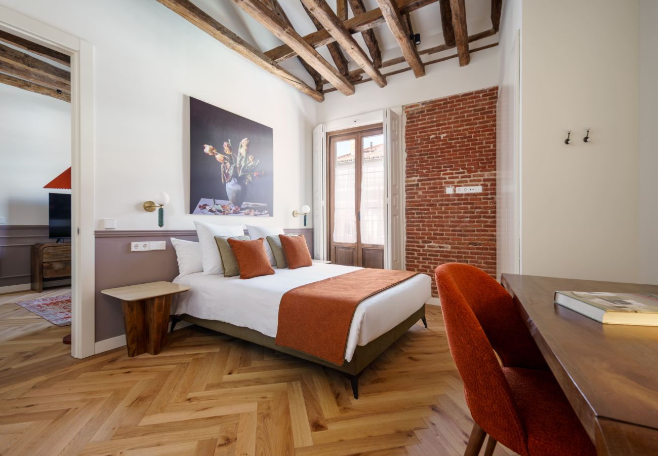 Apartment in Madrid - Travesia Madrid XI apartment