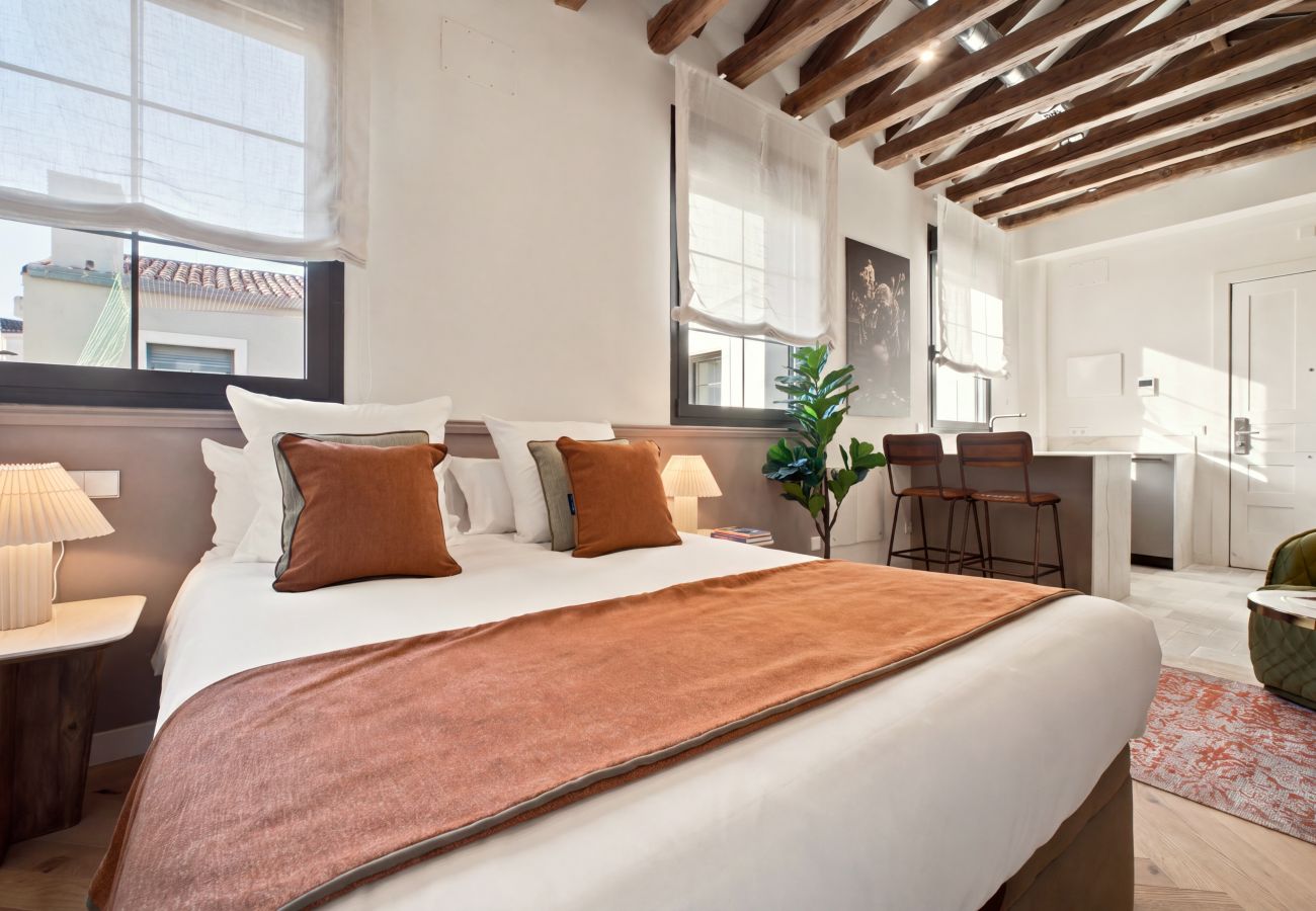 Studio in Madrid - Travesia Madrid XIII apartment