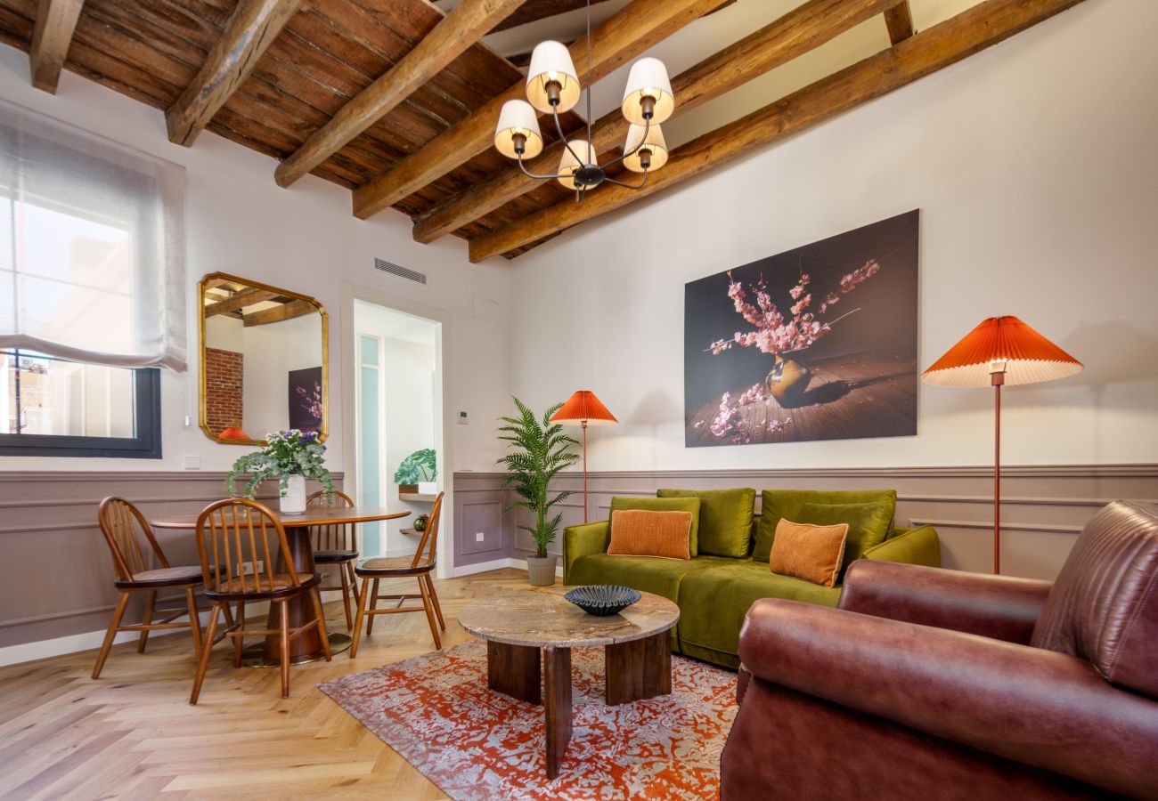 Apartment in Madrid - Travesia Madrid XIV apartment