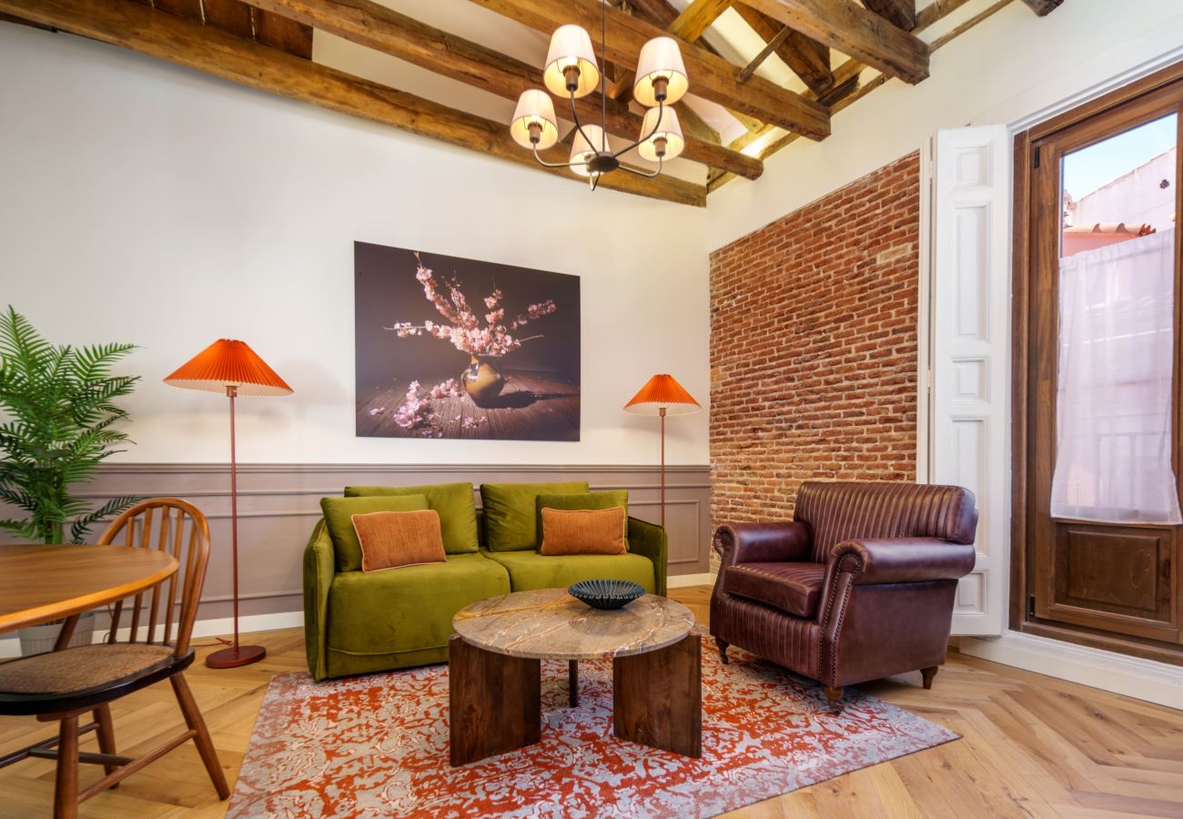 Apartment in Madrid - Travesia Madrid XIV apartment
