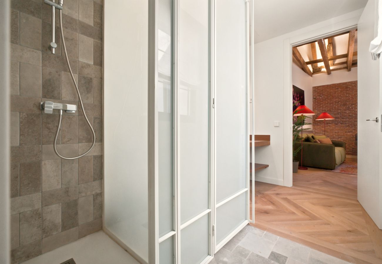 Apartment in Madrid - Travesia Madrid XIV apartment