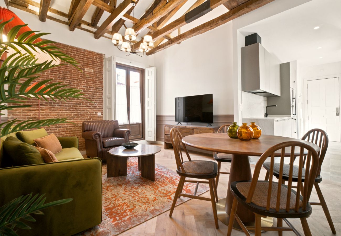 Apartment in Madrid - Travesia Madrid XIV apartment