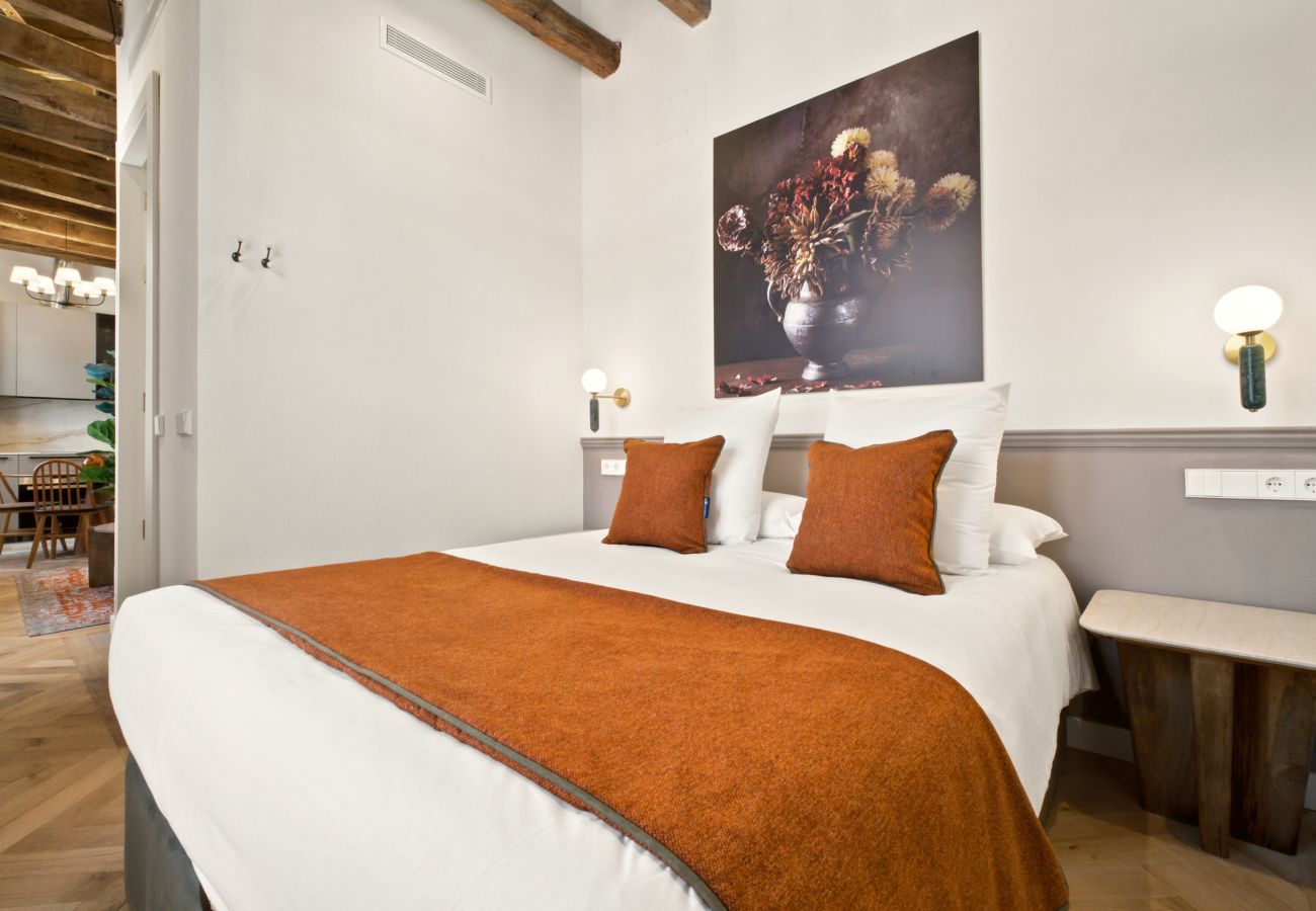 Apartment in Madrid - Travesia Madrid XV apartment
